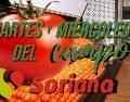 Estas son TODAS las ofertas de hoy y mañana en Soriana por el Martes y Miércoles del Campo. EL INFORMADOR / ARCHIVO