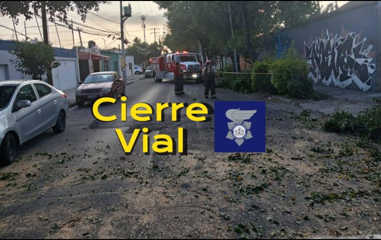Se espera la llegada de personal de Parques y Jardines para el retiro total del árbol y normalizar la circulación. ESPECIAL / FACEBOOK Policía Vial Jalisco