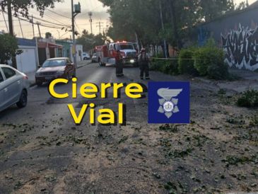 Se espera la llegada de personal de Parques y Jardines para el retiro total del árbol y normalizar la circulación. ESPECIAL / FACEBOOK Policía Vial Jalisco