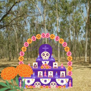 Día de Muertos en Zapopan: Vive una noche de tradición y café en el Bosque El Centinela