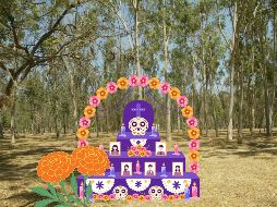 Será este próximo 29 de octubre de 06:00 pm a 09:00 pm. EL INFORMADOR / ARCHIVO