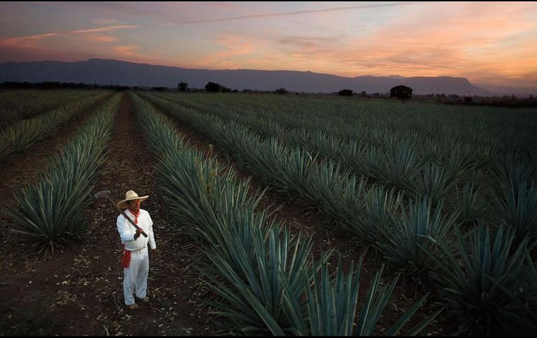 Durante la jornada se rendirá homenaje a los ganadores de la edición 2025 y se conmemorará el décimo aniversario del certamen 