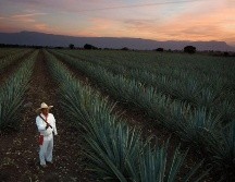 Durante la jornada se rendirá homenaje a los ganadores de la edición 2025 y se conmemorará el décimo aniversario del certamen 