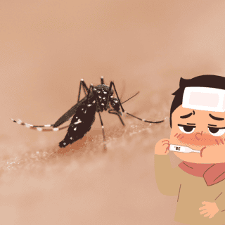 ¿Cuáles son los síntomas del dengue y qué se debe hacer?