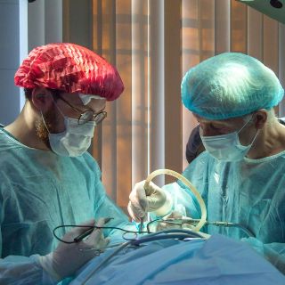 Día del Médico 2025: ¿Por qué se celebra el 23 de octubre en México?