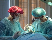 Este día se reconoce a las personas que entregan sus conocimientos para salvaguardar la vida de los demás. Unsplash