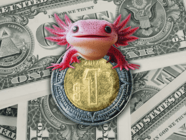 Es importante recordar que la cotización del dólar se actualiza a lo largo del día. ESPECIAL / CANVA