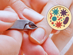 Al eliminar o cortar las cutículas, se elimina esa barrera protectora y la matriz ungueal queda expuesta a infecciones. ESPECIAL / CANVA