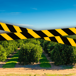 Matan a empresario citrícola, ahora en Veracruz