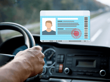 En lo últimos días la confusión ha aumentado por una noticia que circula en redes y medios digitales, sobre una nueva licencia de conducir en México. ESPECIAL / CANVA