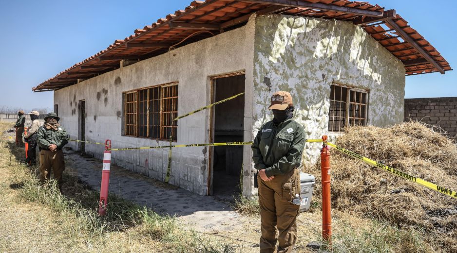 Se documentan al menos 23 fosas con la etiqueta “procesando” de las localizadas en 2025. EL INFORMADOR/  ARCHIVO