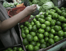Limoneros llevan 15 años buscando garantizar un mercado con trazabilidad, ordenado y justo, así como seguridad para trabajar su tierra. EL INFORMADOR/ARCHIVO