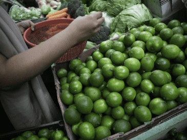 Limoneros llevan 15 años buscando garantizar un mercado con trazabilidad, ordenado y justo, así como seguridad para trabajar su tierra. EL INFORMADOR/ARCHIVO