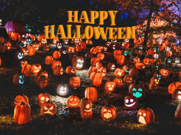 Descubre el verdadero origen del Halloween. UNSPLASH / S. VAN ELK