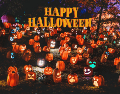Descubre el verdadero origen del Halloween. UNSPLASH / S. VAN ELK