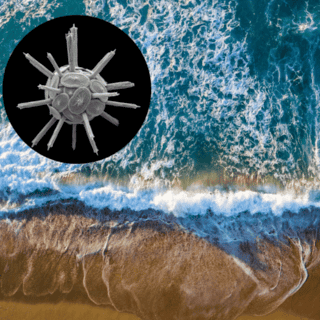 Así el plancton calcificador ayuda al cambio climático