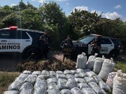 Elementos de la Policía Estatal de Caminos aseguraron diversos paquetes con vegetal verde seco con las características de la marihuana en San Marcos. ESPECIAL