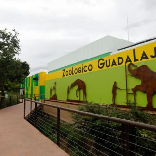 Zoológico Guadalajara, refugio de 300 especies, algunas de ellas en peligro de extinción