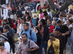 Según datos del Consejo Nacional de Población (Conapo), la edad promedio en México va en incremento en este 2025. EL INFORMADOR/ ARCHIVO