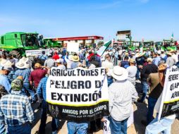 Los maiceros demandan un pago de 7 mil 200 pesos, según el precio de garantía establecido por la Secretaría de Agricultura y Desarrollo Rural Federal. EL INFORMADOR/A. Navarro