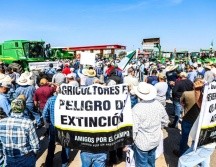 Los maiceros demandan un pago de 7 mil 200 pesos, según el precio de garantía establecido por la Secretaría de Agricultura y Desarrollo Rural Federal. EL INFORMADOR/A. Navarro