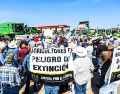 Los maiceros demandan un pago de 7 mil 200 pesos, según el precio de garantía establecido por la Secretaría de Agricultura y Desarrollo Rural Federal. EL INFORMADOR/A. Navarro