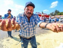 La dependencia del Gobierno Federal ofreció a los productores de maíz llegar a los 6,050 pesos por tonelada, crédito a los productores y seguro agropecuario. EL INFORMADOR/ A. Navarro