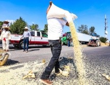 Debido a la falta de un acuerdo con autoridades del gobierno federal en la Ciudad de México, los productores de maíz de Jalisco comenzaron este lunes un bloqueo en ambos carriles de la carretera Guadalajara–Morelia. EL INFORMADOR/ A. Navarro