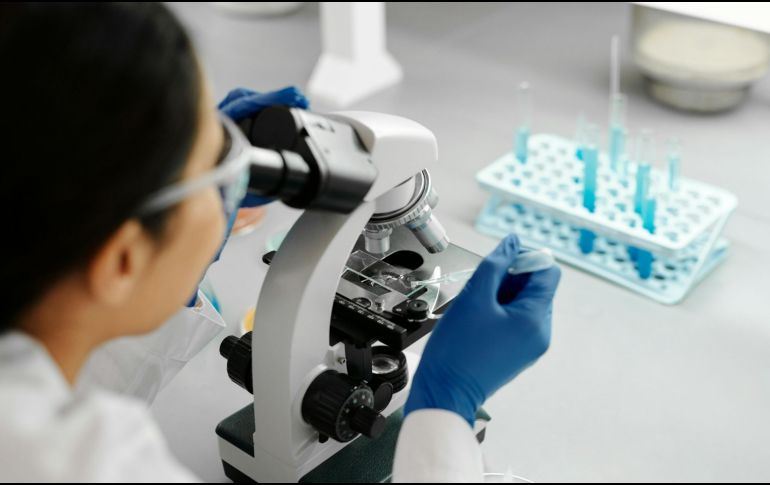 Al evaluar la actividad de ciertos genes relacionados con el crecimiento anormal, los especialistas pueden determinar con alta precisión si una lesión cutánea tiene características compatibles con el melanoma. CANVA