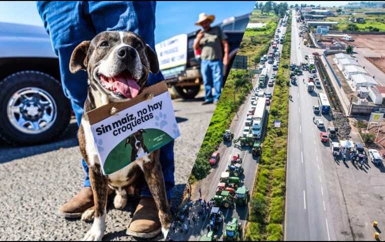 Los maiceros pidieron una disculpa a la población por las afectaciones que esta manifestación les pudiera ocasionar. EL INFORMADOR / A. Navarro