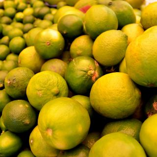 Gobierno brindará protección a productores de limón de Michoacán