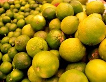 García Harfuch destacó la iniciativa propuesta por el Ejecutivo para expedir la Ley General contra la Extorsión, la cual plantea investigar de oficio los delitos de extorsión, como el ocurrido con Bernardo Bravo. SUN / ARCHIVO