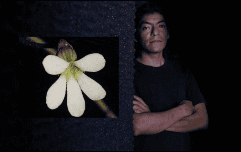 El hallazgo fue confirmado tras análisis de ADN y comparaciones morfológicas con otras especies conocidas, explicó Jorge David López-Pérez, doctorando del CUCBA. UDEG