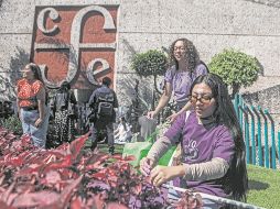 Escritoras, poetas y activistas feministas se reunieron frente al FCE para exigir la renuncia del director Paco Ignacio Taibo Il. EL UNIVERSAL