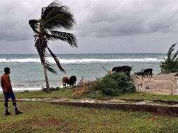 Se prevé que el huracán 