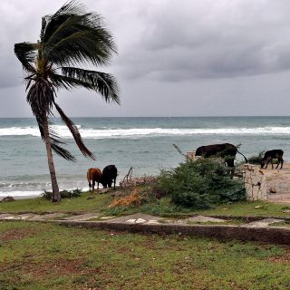 "Melissa" atravesó Cuba como un huracán categoría 3