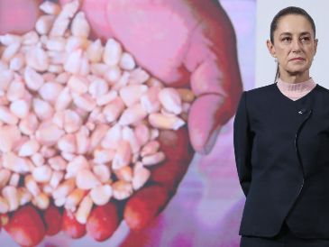 Este  nuevo sistema, busca dar certidumbre al precio y venta del cultivo . EFE/M. GUZMÁN