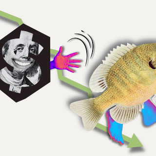 Dólar zarandea al peso mexicano en el arranque de este 30 de octubre