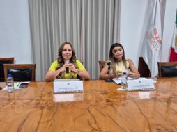 Diputada de Movimiento Ciudadano aseguró que se trata de una normativa federal que defiende al medio ambiente y la salud de la ciudadanía. ESPECIAL