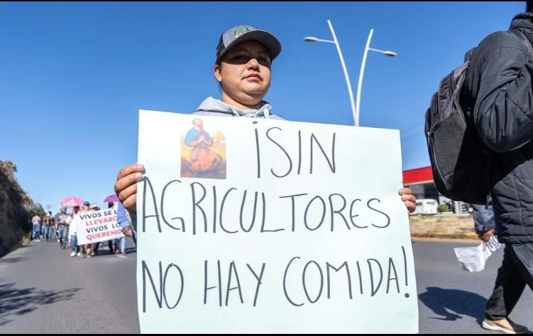 Enfatizaron que los 950 pesos que ofrecen por tonelada no son un acuerdo, sino una imposición que no soluciona nada. SUN / ESPECIAL