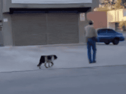 De acuerdo con la fecha que aparece en la grabación, el incidente habría ocurrido el pasado 28 de octubre, en una de las calles principales de la colonia, ubicada en la capital del estado. ESPECIAL