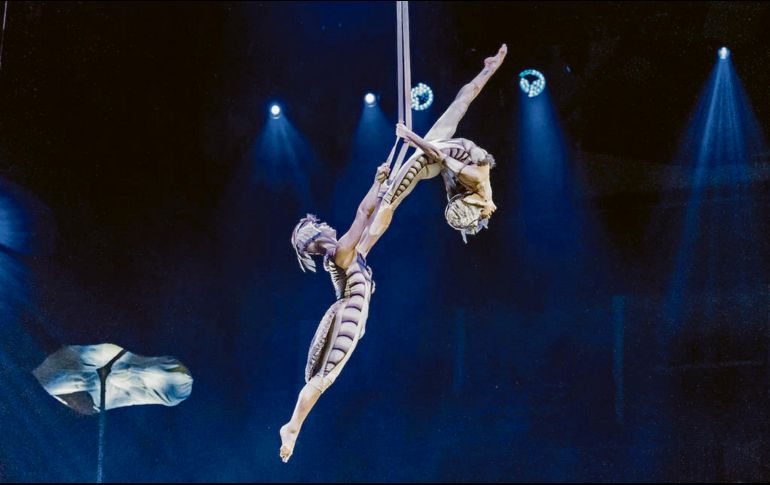 Ernesto Lea Place (izquierda) alza el vuelo en el espectáculo “OVO”. CORTESÍA