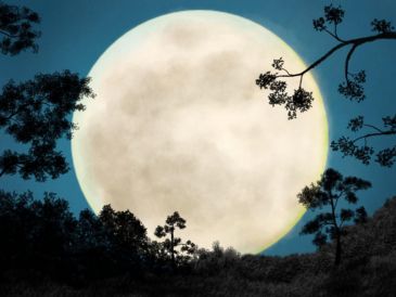 La "superluna" iluminará el cielo nocturno de México durante los primeros días de noviembre. CANVA
