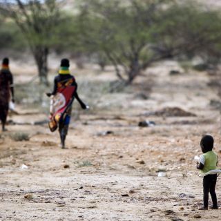 "El mundo enfrenta una crisis de hambre sin precedentes": ONU