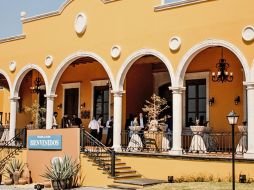 Los Altos de Jalisco: tierra de agave, tradición y leyenda