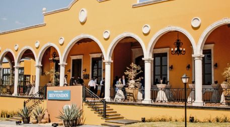 Los Altos de Jalisco: tierra de agave, tradición y leyenda