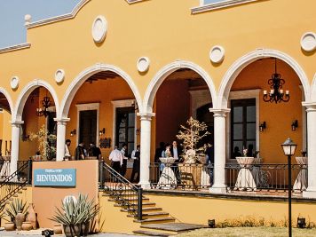 Los Altos de Jalisco: tierra de agave, tradición y leyenda