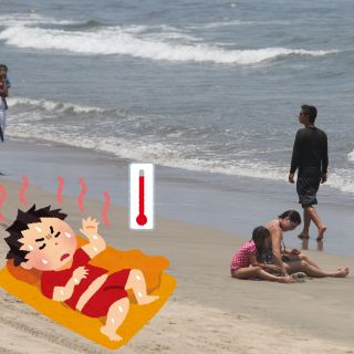 Puerto Vallarta espera una jornada soleada y calurosa; aquí los detalles