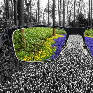 ¿Cuáles son las pruebas para detectar el daltonismo?