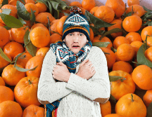 El mes de noviembre marca el inicio de la transición hacia el invierno, etapa en la que los alimentos de temporada suelen ser más ricos en vitaminas y minerales. ESPECIAL / CANVA